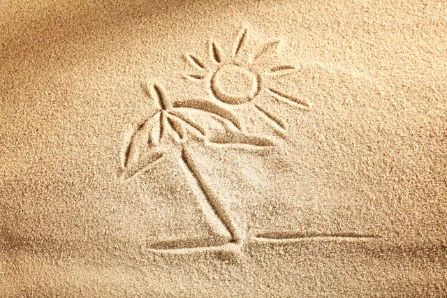 Sole