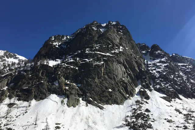 Il Bosco