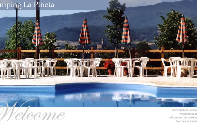 La Pineta