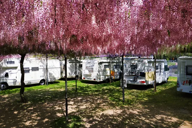 LGP