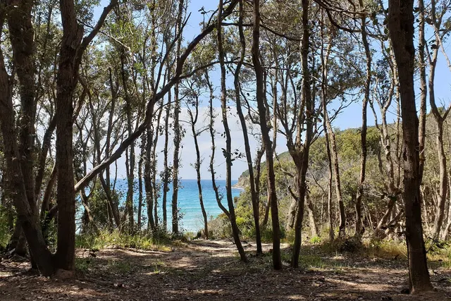 Camping Pionier Etrusco
