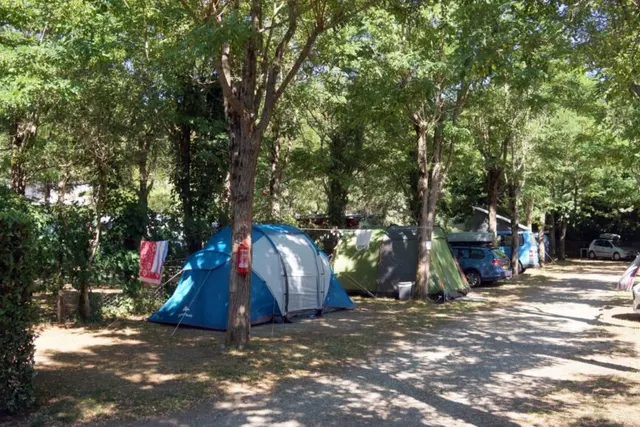 Camping Albero d'oro