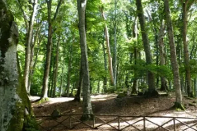 Camping Natura