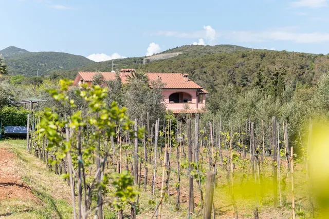 Agriturismo de Santis