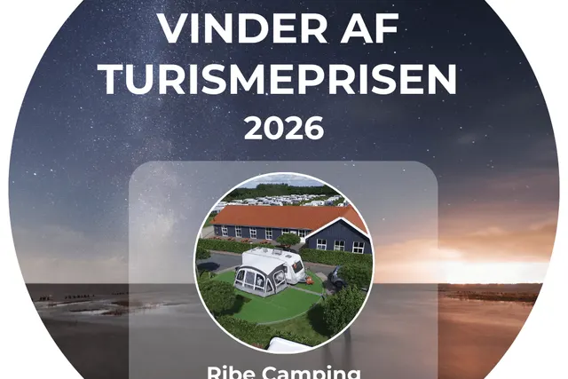 Ribe Centrum Syd