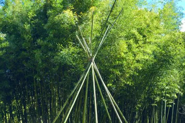 La Fount de Sicre