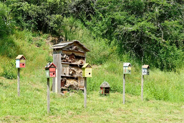 Aire naturelle de camping ICB là