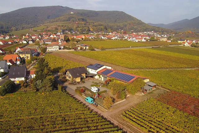 Stellplatz Weingut Eberle