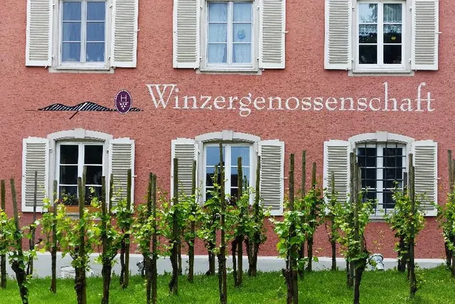 Stellplatz Wein & Hof Hügelheim