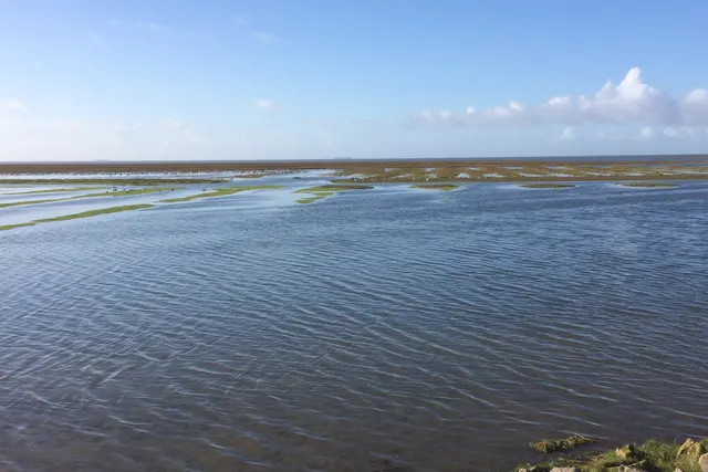 Camping am Nordseedeich