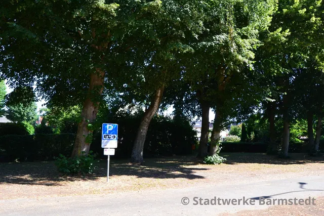 Stellplatz am Rantzauer See