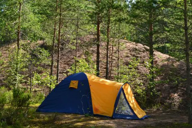 Campingplatz Dammühlenteich