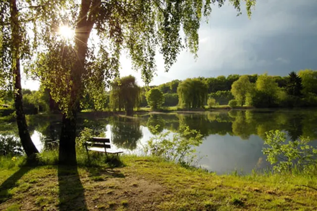 Waldsee Camping Bettmar