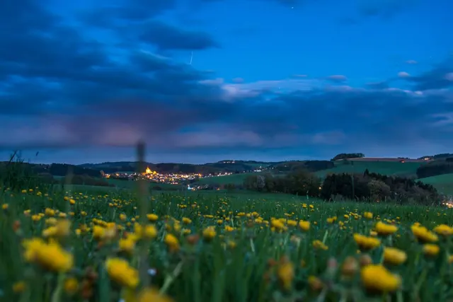 Wiesengrund