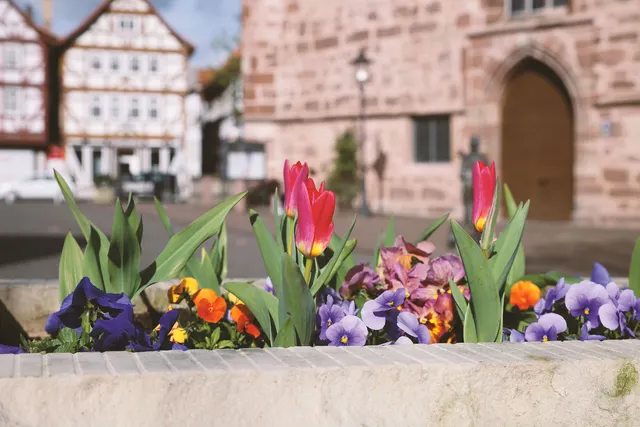 Campingplatz Rotenburg an der Fulda