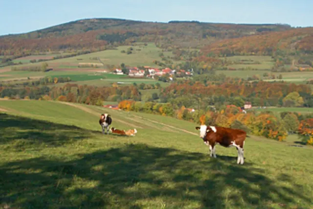 Campingplatz Ulstertal