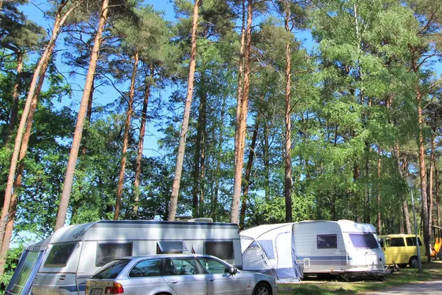 Naturcampingplatz am Springsee