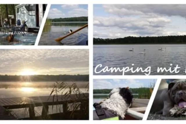 Seecamp Waldreich