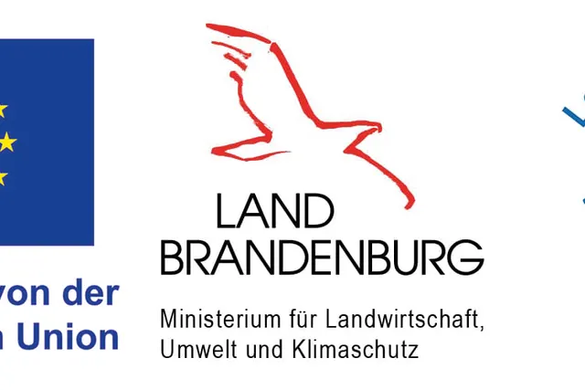 Waldbad Crinitz