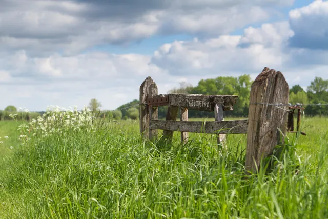 Boeren camping