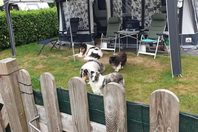 Mini-camping De Hofstee