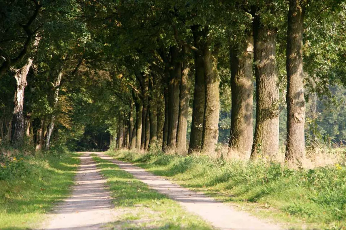 De mooiste campings in Gelderland — met Minicamping de Kei in de spotlight