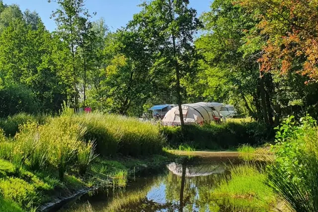De mooiste campings in Friesland — met Bos & Pingo in de spotlight
