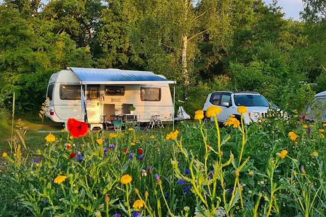 Camping Jelly's Hoeve