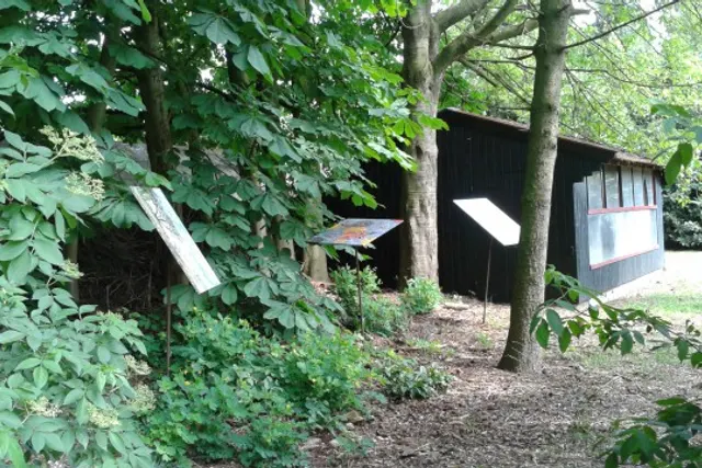 Mini-camping 't Haldert