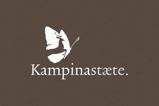 vakantiepark KampinaStaete
