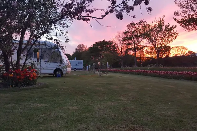 Camperplaats de Tulpentuin