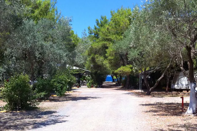 Camping Zarítsi