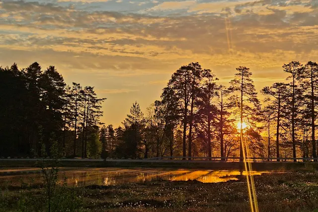 Nya Malingsbo camping