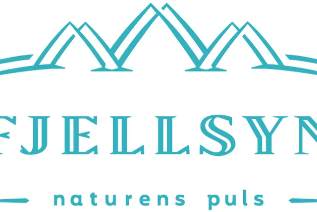 Fjellsyn Camping